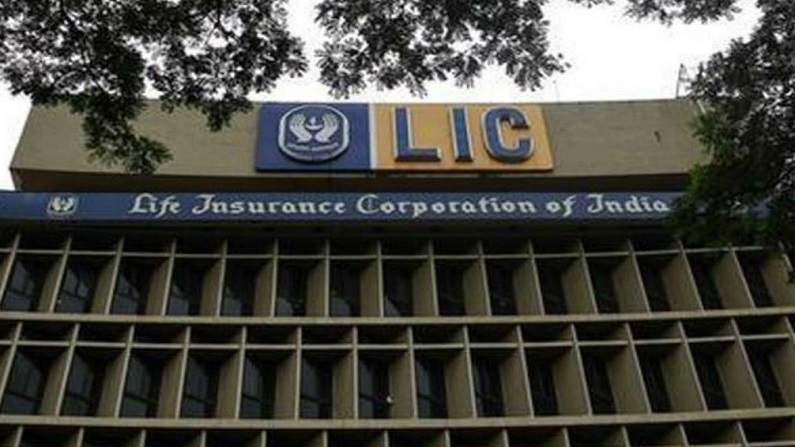 LIC launches new policy Bima Jyoti: Guaranteed returns will continue to be available for 20 years in addition to fixed income